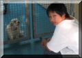 BCSPCA OCT 2006 024.jpg